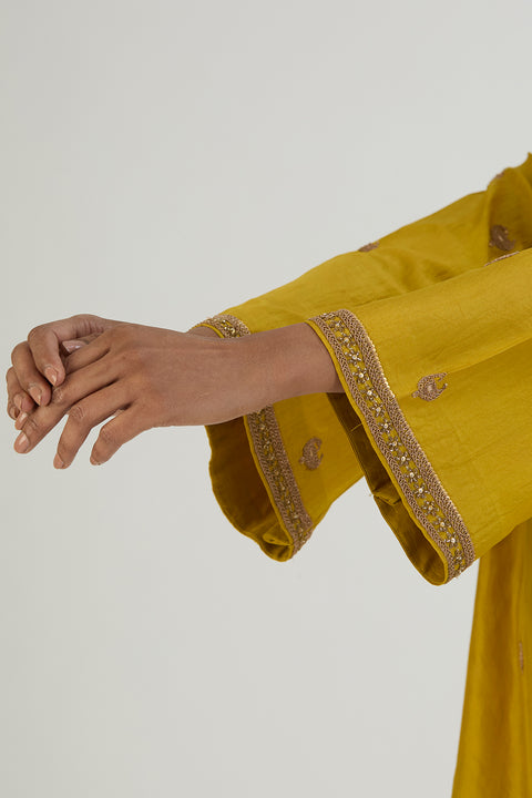 Taavi Kurta and Pant-Light Green