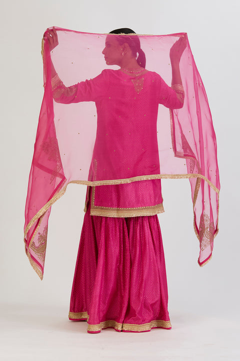 Rasa Dupatta-Fuschia