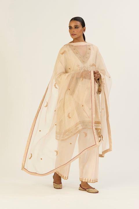 Vaanya Dupatta-Oats