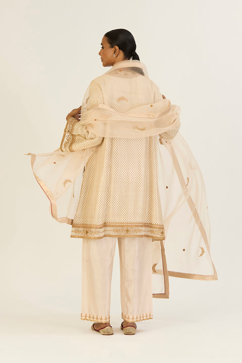 Vaanya Dupatta-Oats