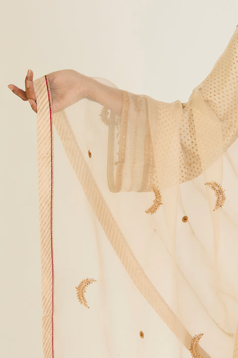 Vaanya Dupatta-Oats