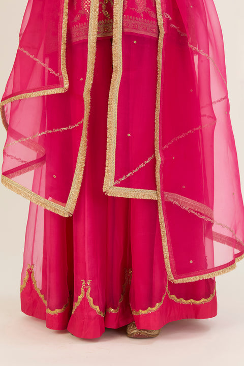 Mayar Dupatta-Fuschia