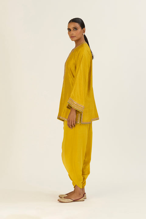 Rini Kurta and Pant-Lime Green