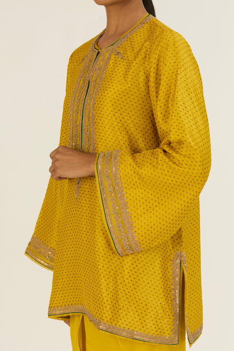 Rini Kurta and Pant-Lime Green