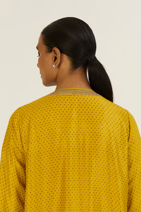 Rini Kurta and Pant-Lime Green
