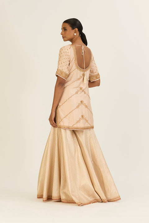 Rutvi Kurta and Sharara-Oats
