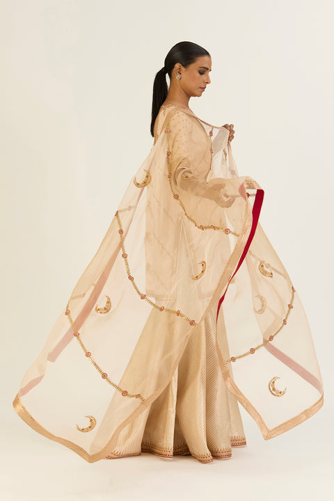 Charvi Dupatta-Oats