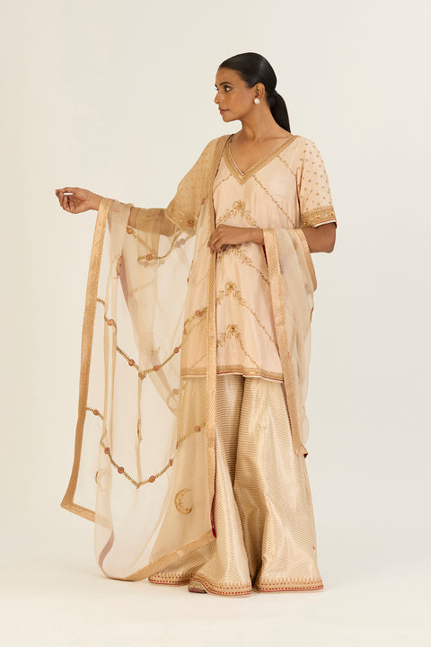 Rutvi Kurta and Sharara-Oats