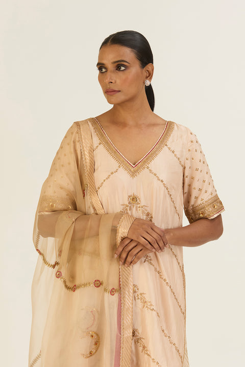 Rutvi Kurta and Sharara-Oats