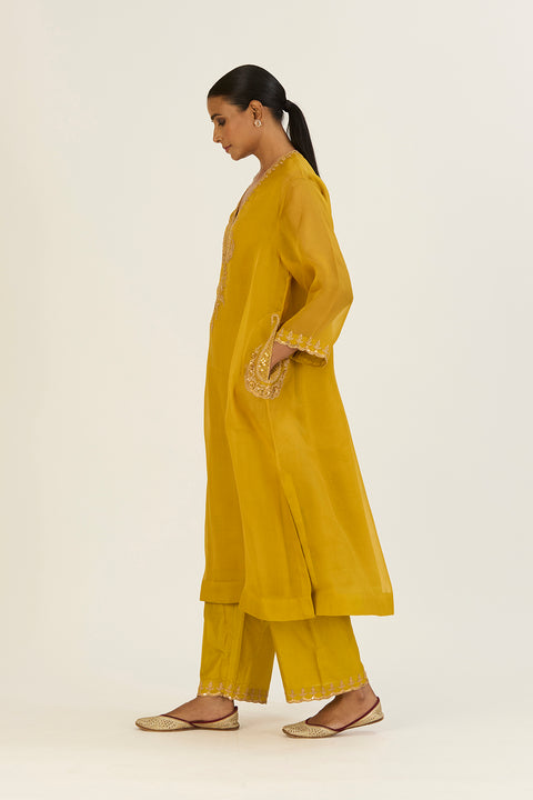 Rysa Kurta and Pant-Lime Green