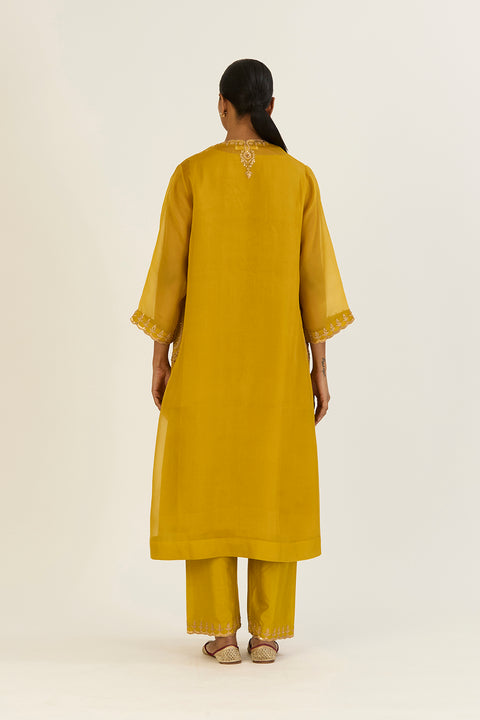 Rysa Kurta and Pant-Lime Green