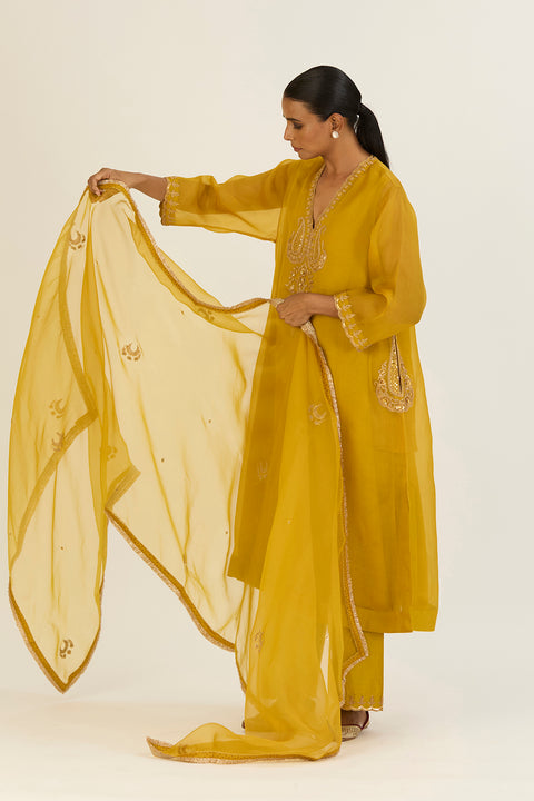 Advika Dupatta-Lime Green