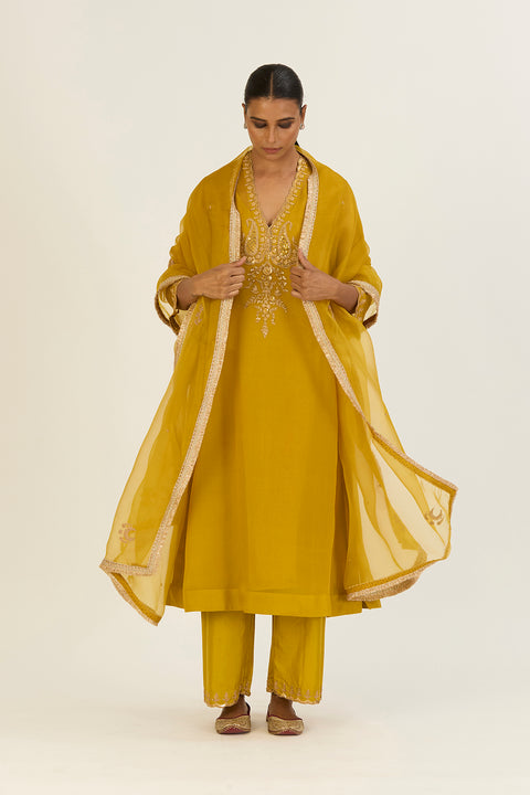 Advika Dupatta-Lime Green
