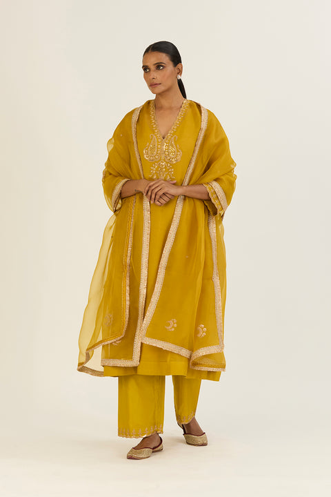 Rysa Kurta and Pant-Lime Green