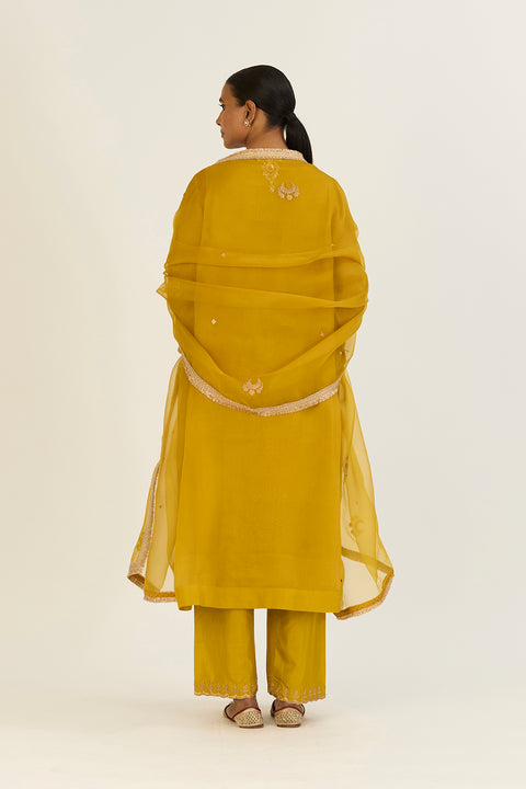 Advika Dupatta-Lime Green