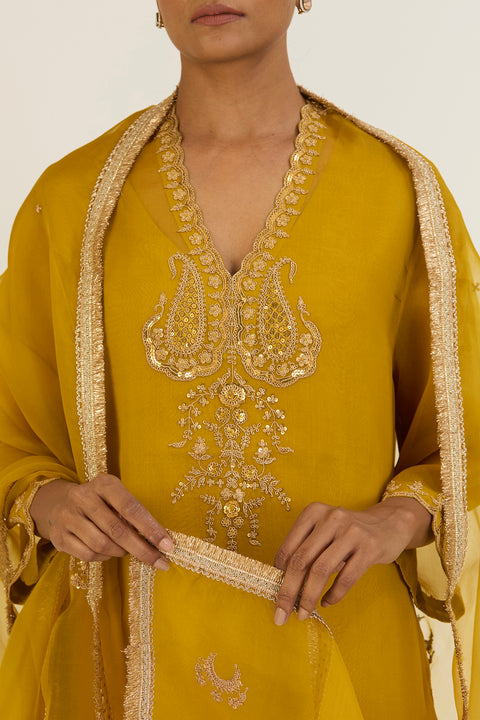 Advika Dupatta-Lime Green