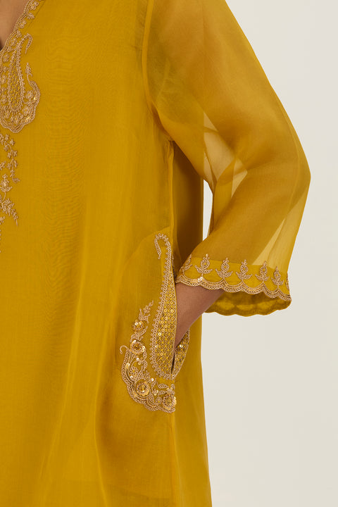 Rysa Kurta and Pant-Lime Green