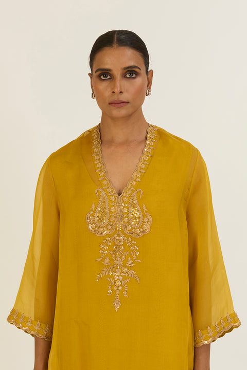 Rysa Kurta and Pant-Lime Green