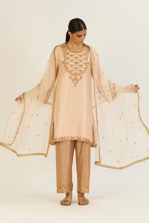 Sheetal Dupatta-Champagne