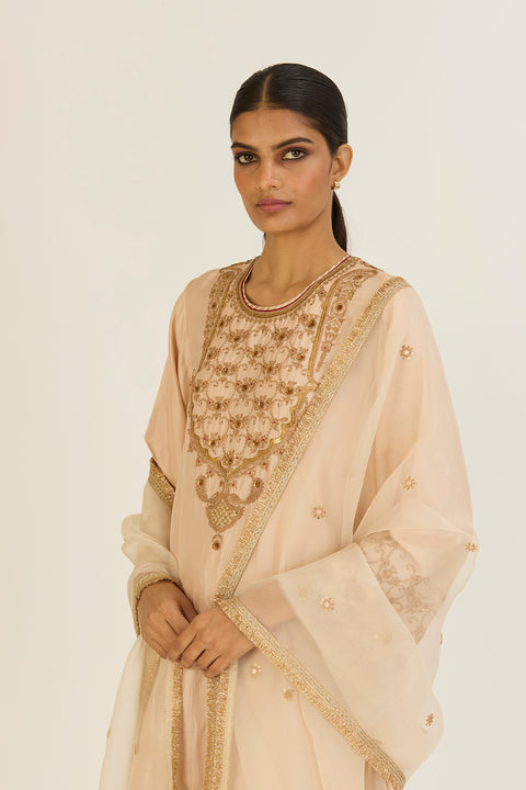 Sheetal Dupatta-Champagne