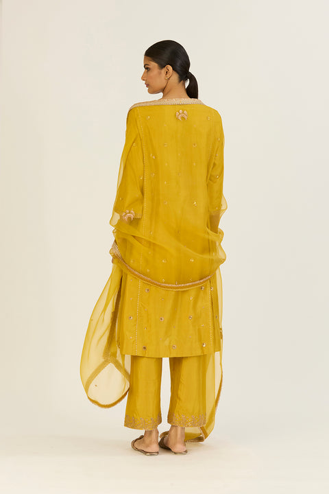 Advika Dupatta-Lime Green