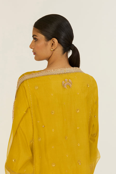 Advika Dupatta-Lime Green