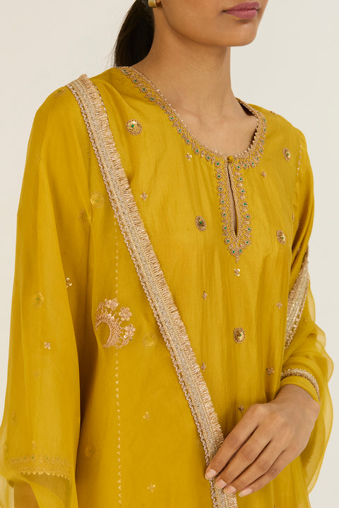 Hina Kurta and Pant-Lime Green