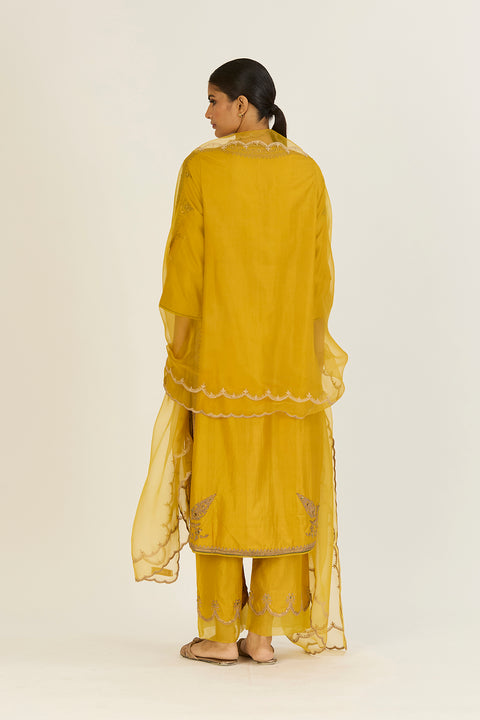 Kaveri Dupatta-Lime Green