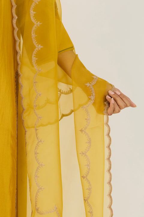 Kaveri Dupatta-Lime Green