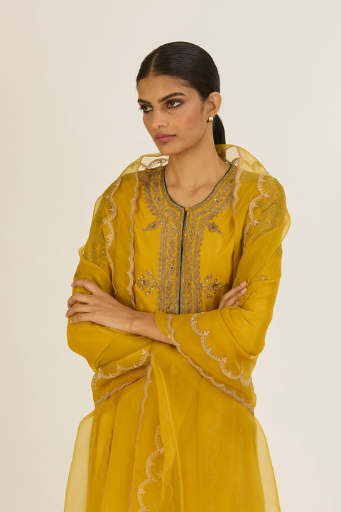Kaveri Dupatta-Lime Green