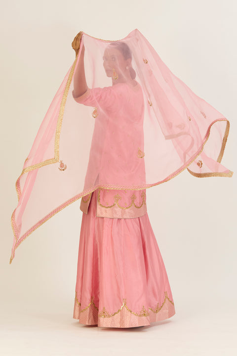 Aparna Dupatta-Pink