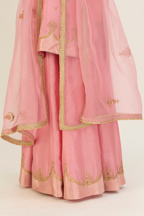 Aparna Dupatta-Pink
