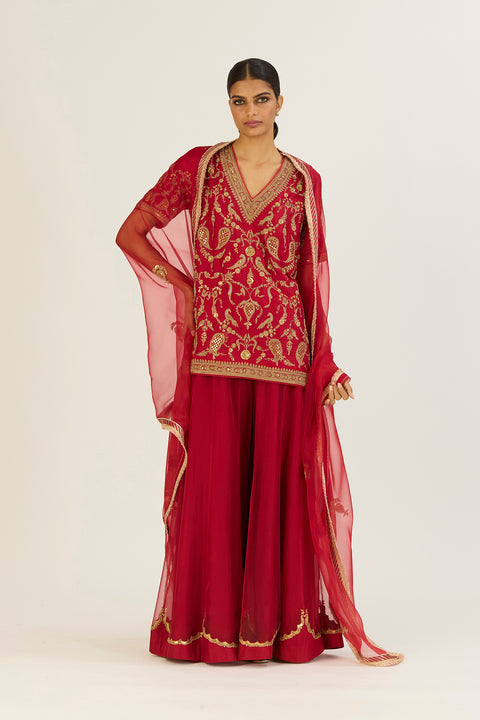 Anvi Kurta and Sharara-Red
