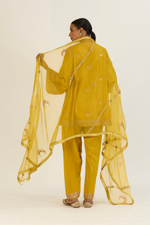 Charvi Dupatta-Lime Green