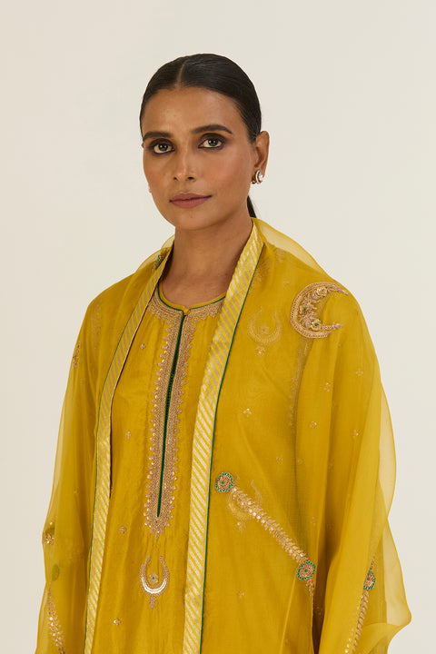 Charvi Dupatta-Lime Green