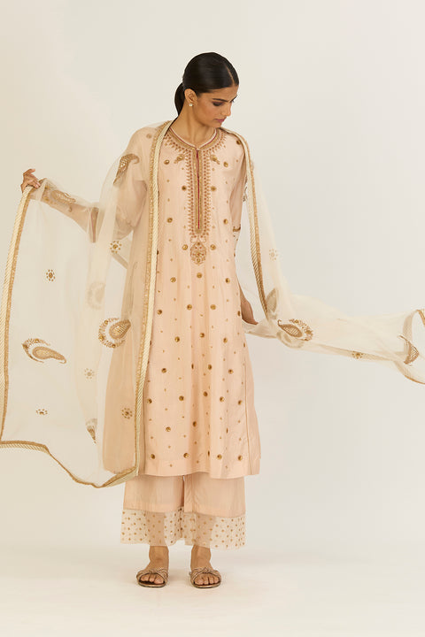Aditi Dupatta-Oats
