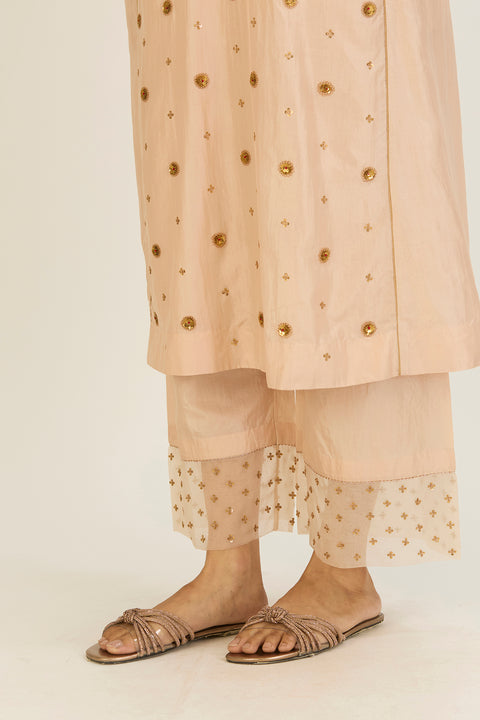 Druti Kurta and Pant-Ivory