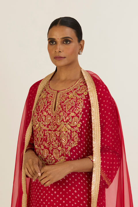 Brinda Kurta and Pant-Red