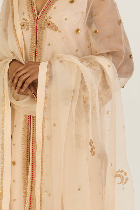 Advika Dupatta-Oats