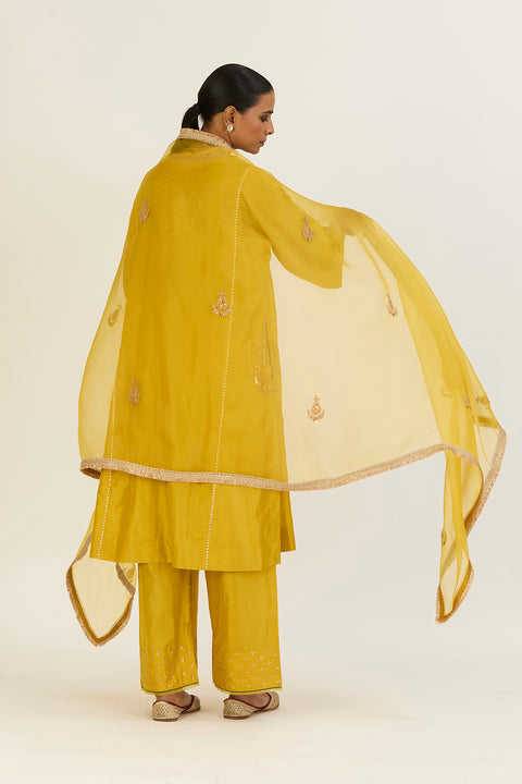 Aparna Dupatta-Lime Green