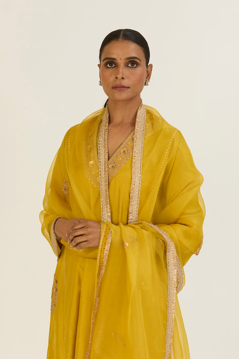 Aparna Dupatta-Lime Green
