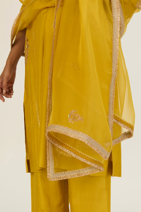 Aparna Dupatta-Lime Green