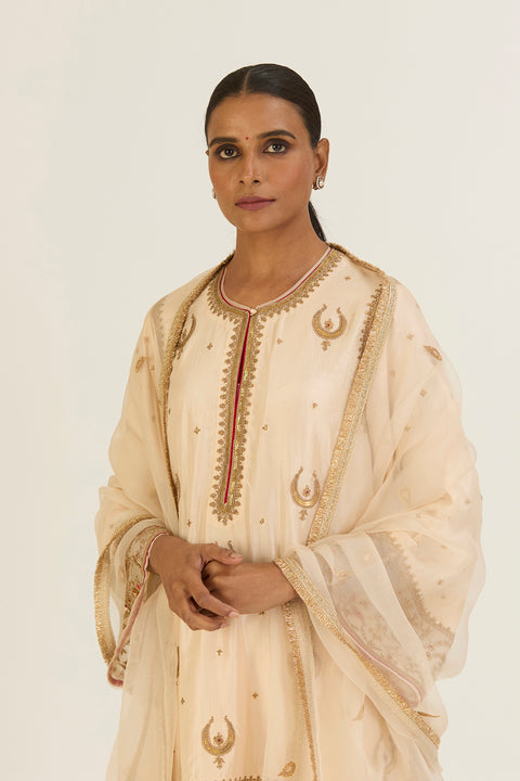 Ahaya Kurta and Pant-Oats