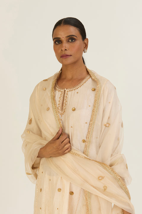 Hina Kurta and Pant-Oats