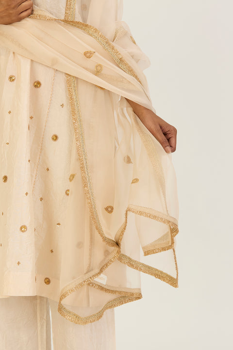Krisha Dupatta-Oats