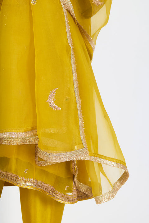 Vaanya Dupatta - Lime