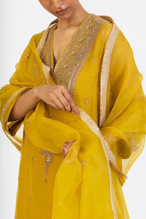 Vaanya Dupatta - Lime