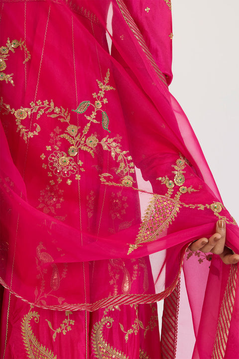 Mridula Dupatta - Fuschia Pink