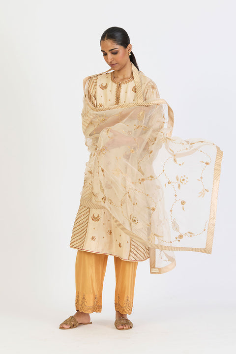 Chitra Dupatta - Oats