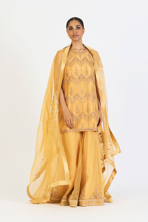 Romaani Kurta and Sharara - Yellow